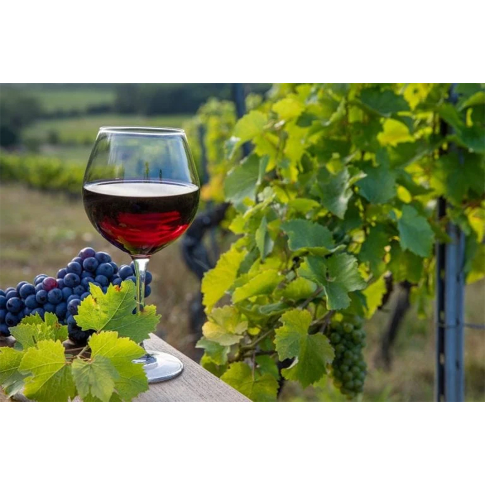Pinot Noir